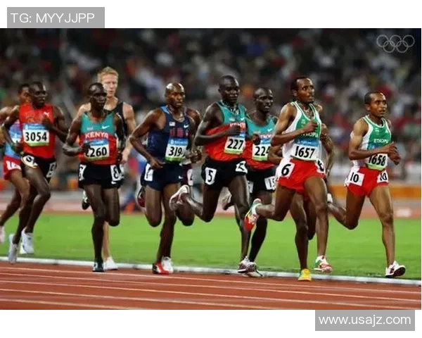 南京羽毛球队的崛起之路：从青涩到辉煌的奥运梦想与奋斗历程